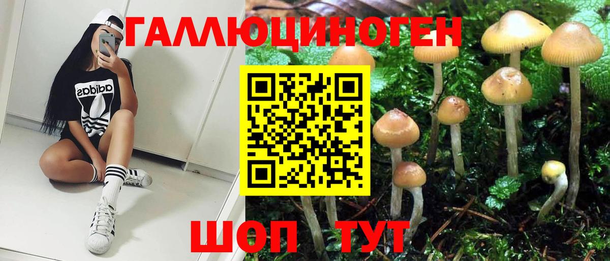 Псилоцибиновые грибы Cubensis Ступино